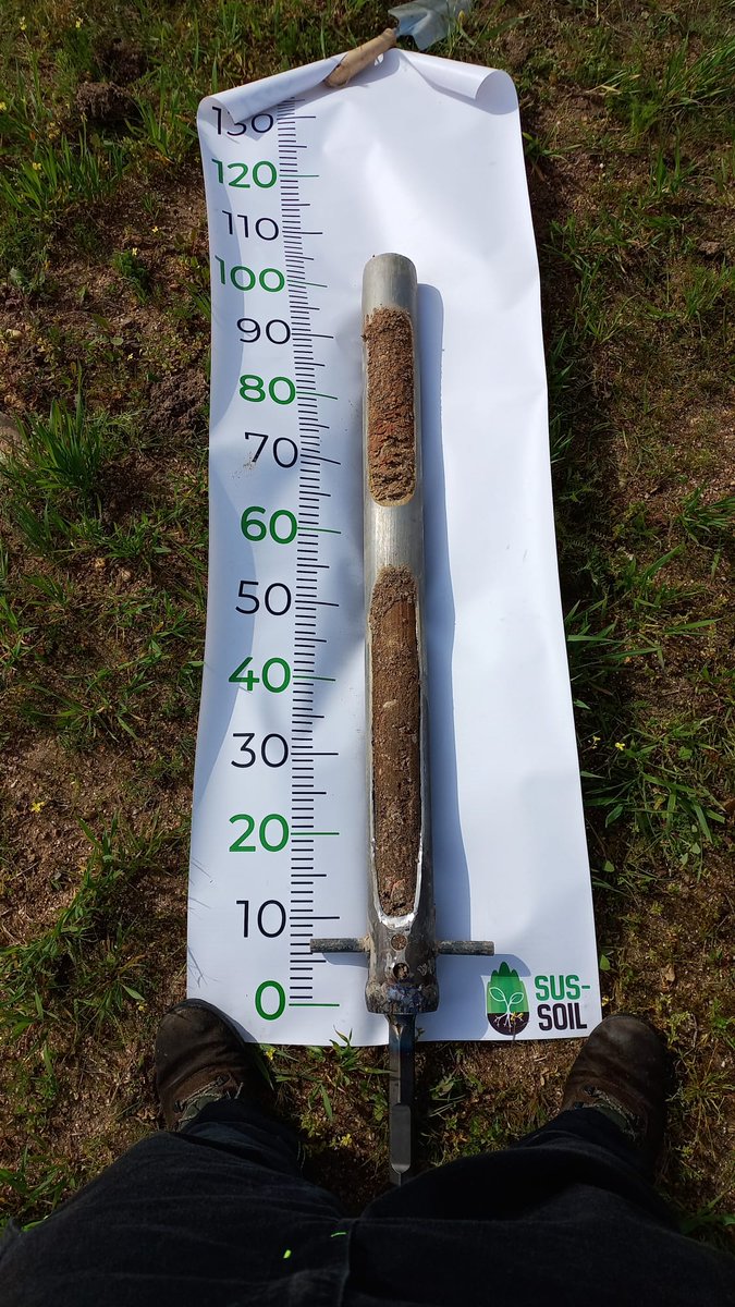 SUS-SOIL tweet media