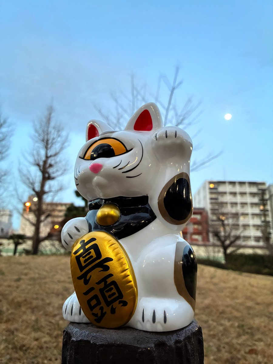 144BASE's tweet photo. 🌕
#realxhead #realhead #リアルヘッド #真頭玩具 https://t.co/vBlWa4lJXt