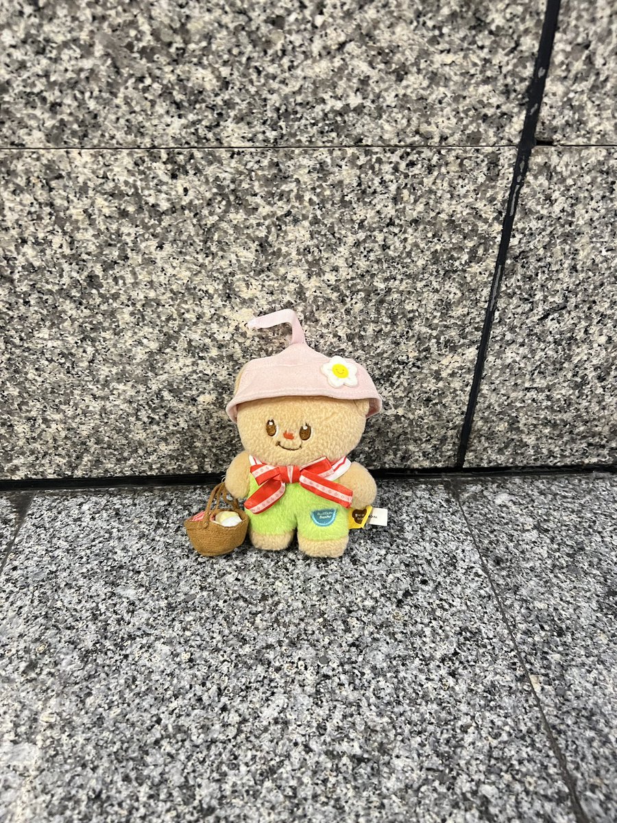 โมจิงดน้ำตาล🍡#สมรสเท่าเทียม 🏳️‍🌈 tweet media