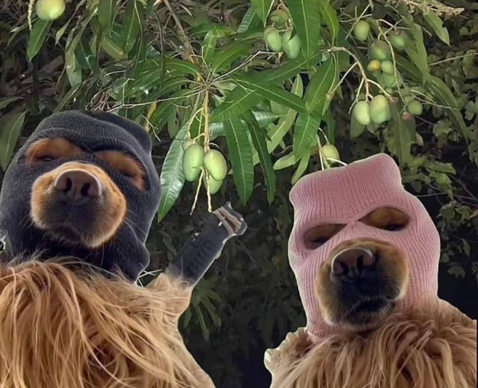 Kruzz⛩️ tweet media