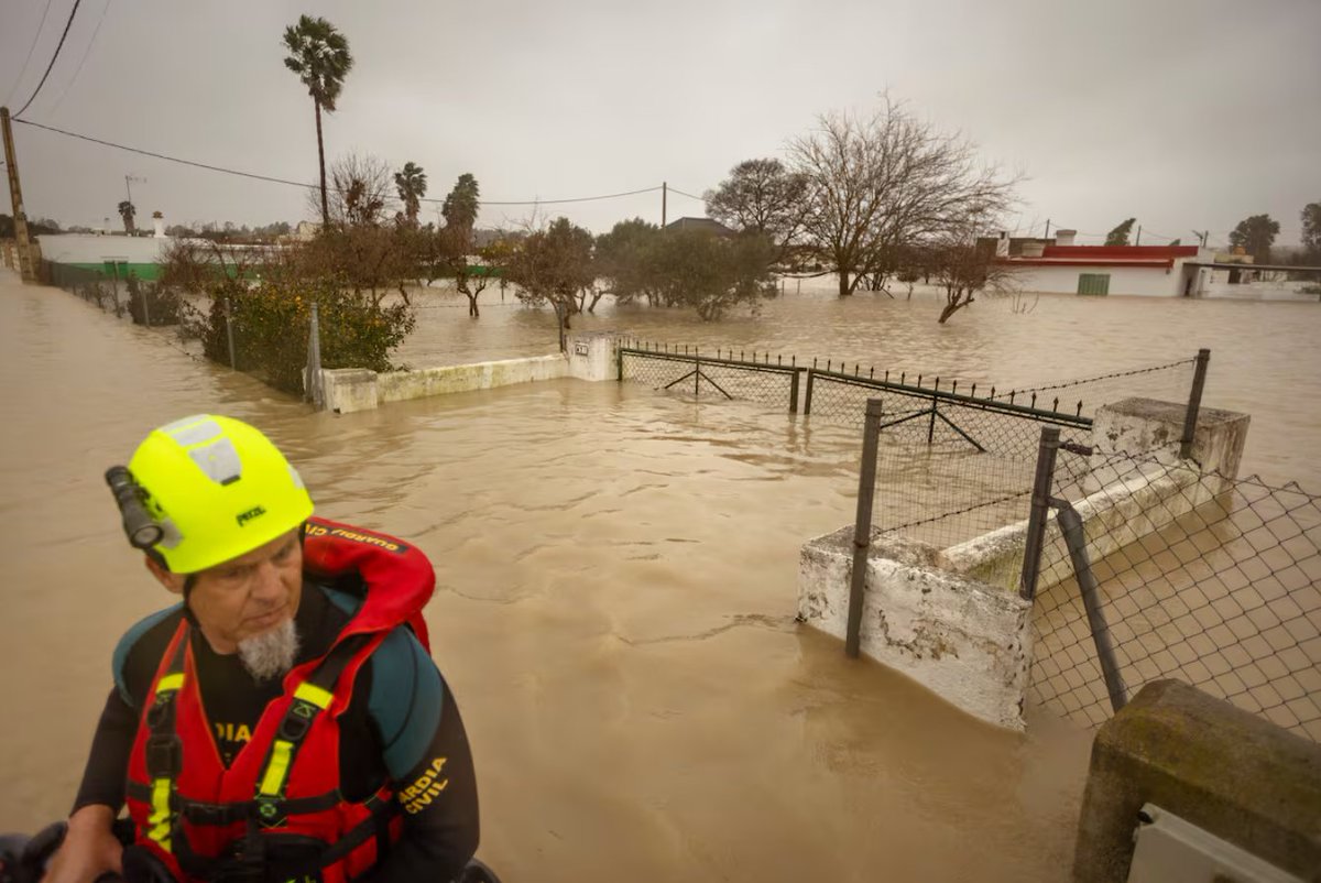 LuisMoralesCarballo tweet media