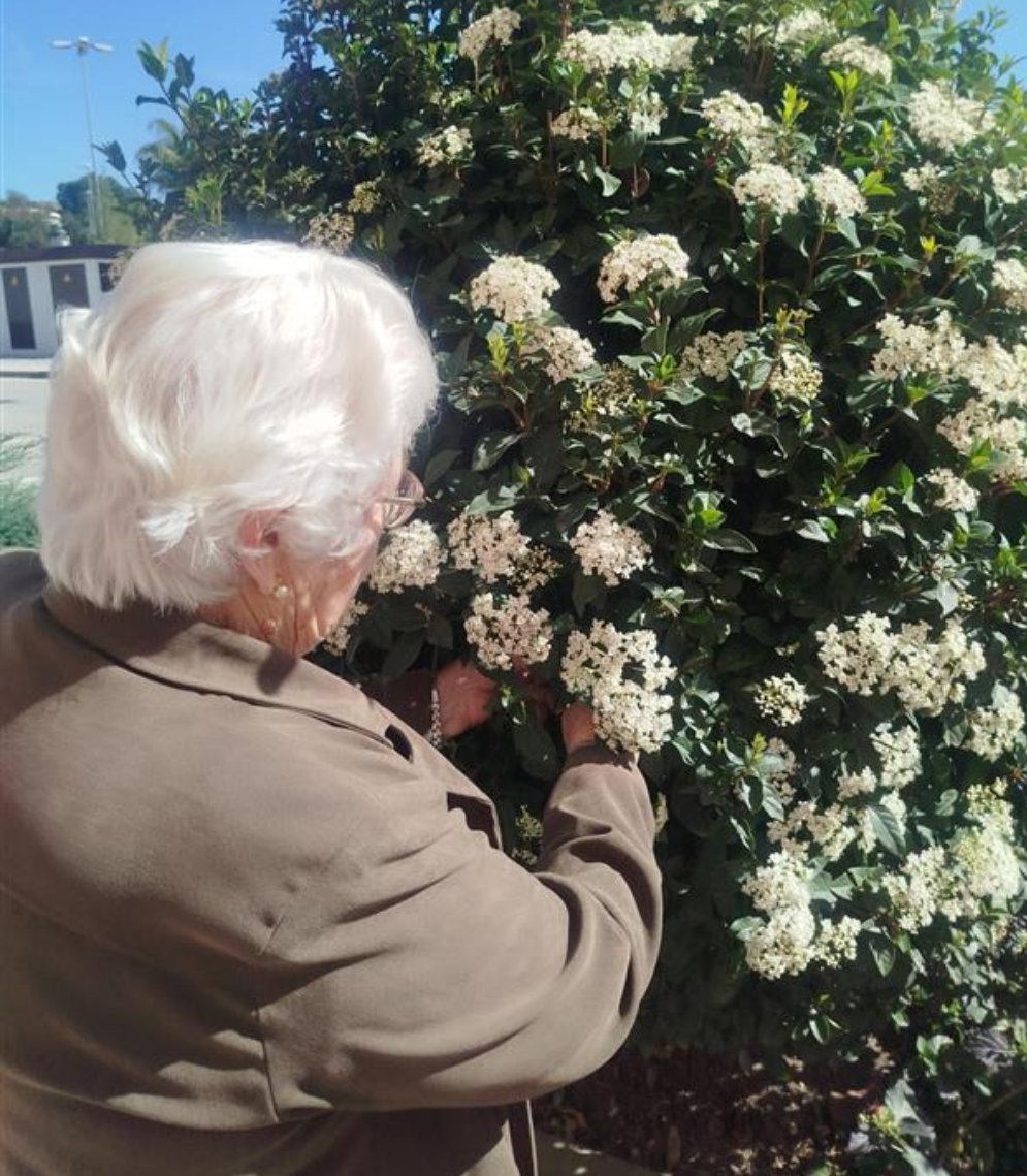 Inserta Andalucia tweet media