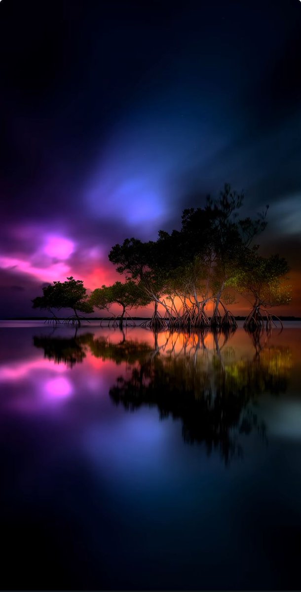 OurinIza's tweet image. Photo of the day

#Wednesdayvibe #photooftheday