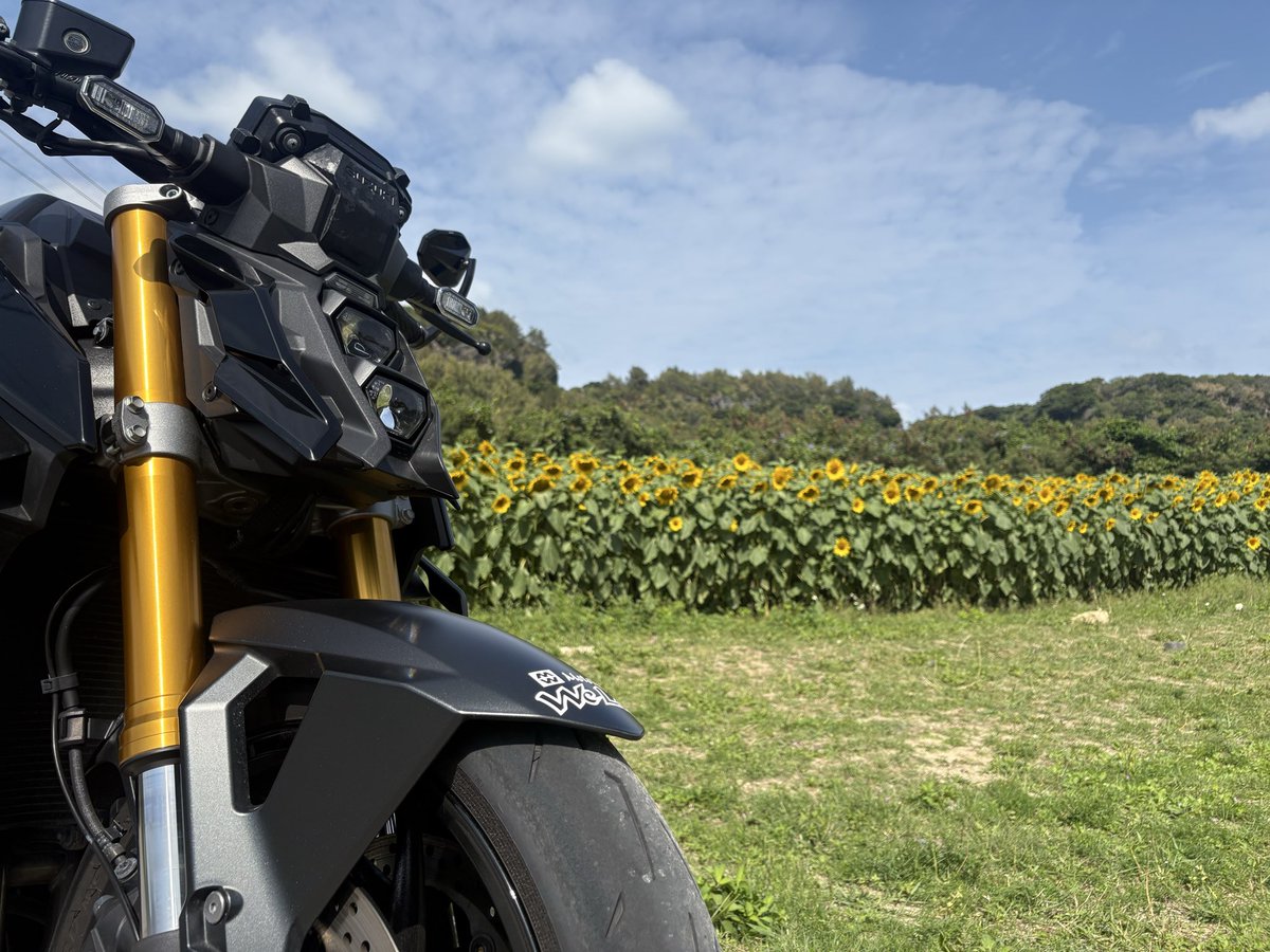 ue____p's tweet photo. 🌻ひまわり🌻ツーリング🛵³₃³₃ https://t.co/ohjSHQyK6l
