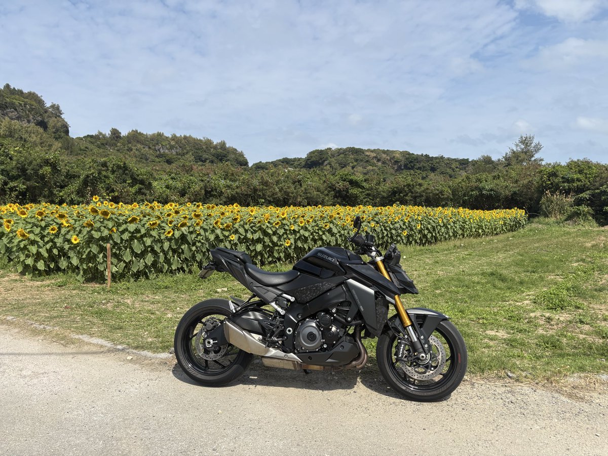 ue____p's tweet photo. 🌻ひまわり🌻ツーリング🛵³₃³₃ https://t.co/ohjSHQyK6l