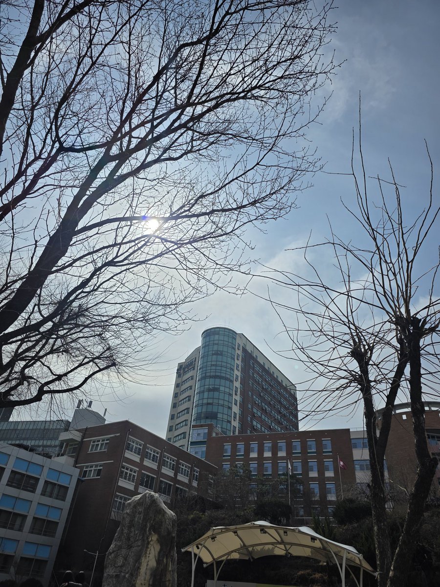 정희선 / 첫 사첵 막 S_F7 tweet media