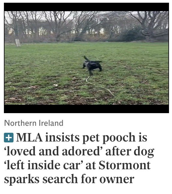 Mister C .كيران Paddystinian tweet media