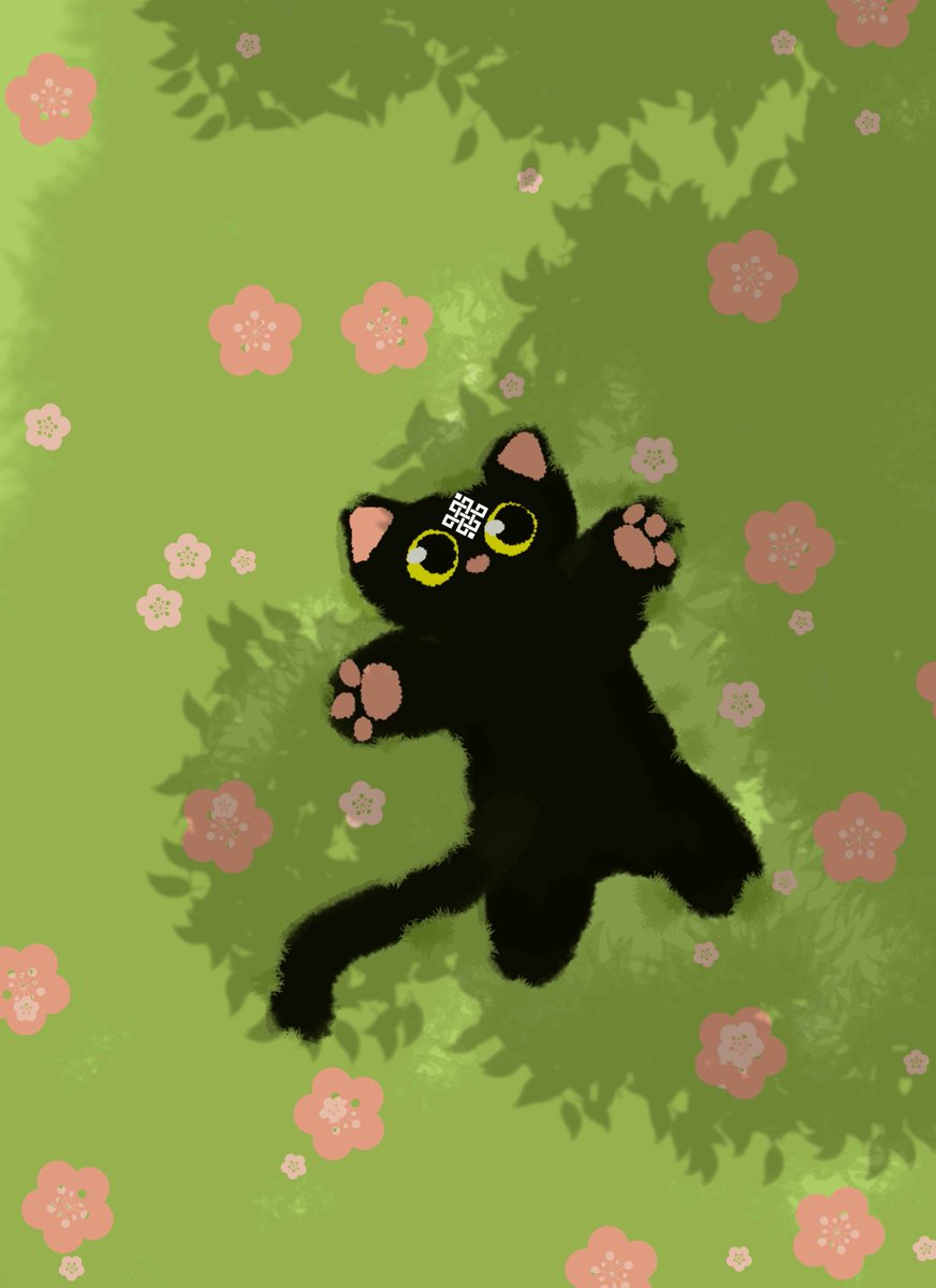 Miru(❖,❖) tweet media