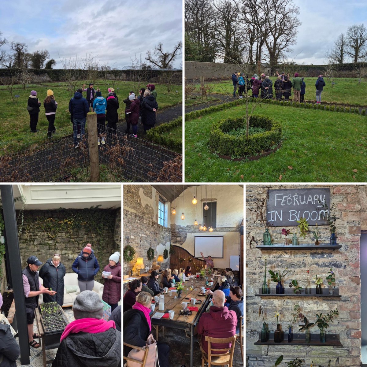 Oide Creativity tweet media