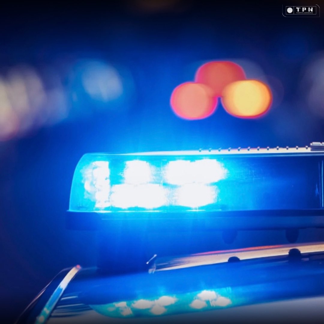 🌐 ᴛʜᴇᴘᴏʟᴀɴᴅɴᴇᴡs 🌐 tweet media