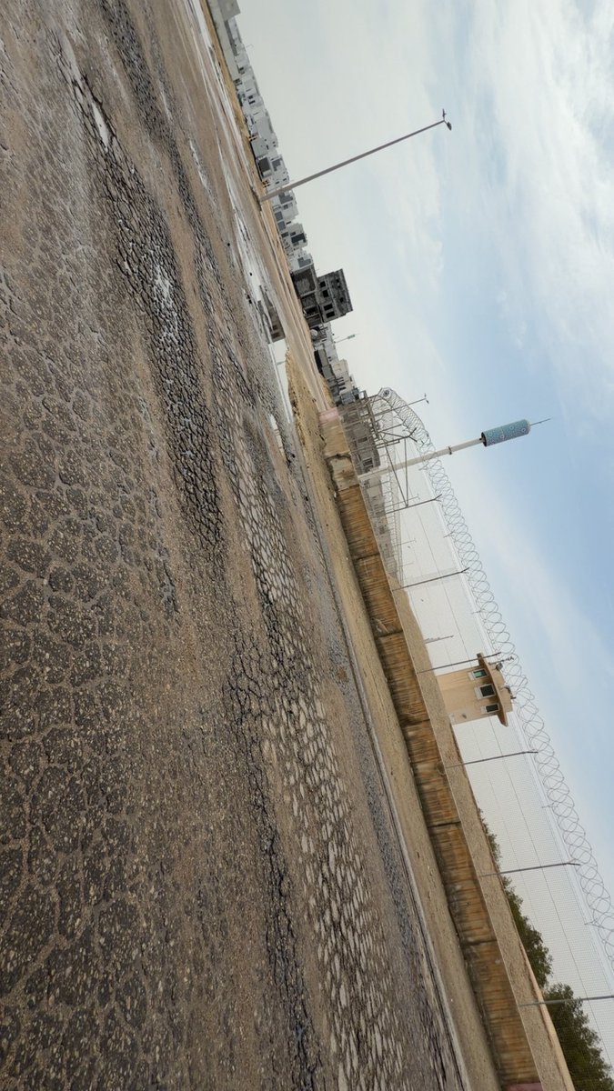 FΛЩΛZ  tweet media