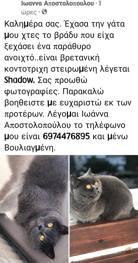 🆘🆘🆘#χαθηκε περιοχή Βουλιαγμένη👇👇👇