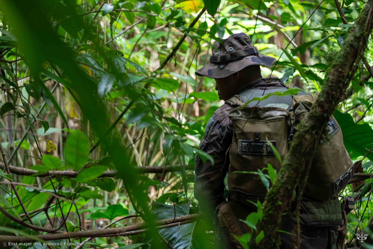 Forces armées en Guyane tweet media