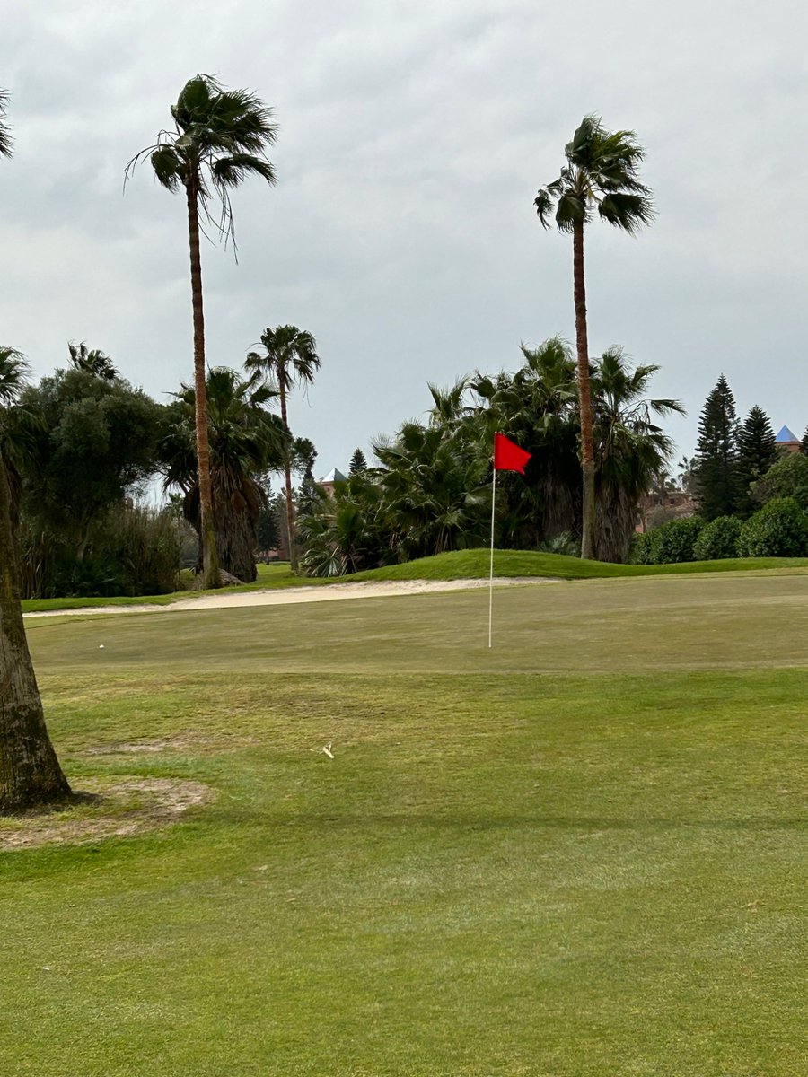 Tim Cowen tweet media