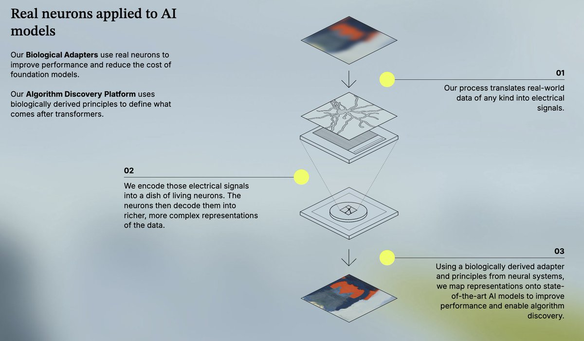 Andrew J Scott tweet media