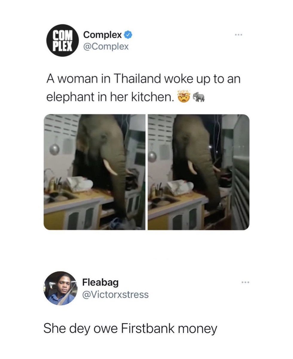 Dirmax✨🌍 tweet media