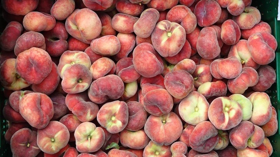 Vida Rural tweet media