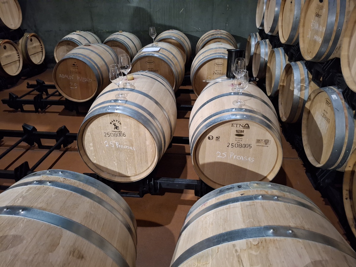 ADHalliwell's tweet image. Fun little #barrel tasting today.
The same wine 2025 Pressings has been in 3 #newoak barrels since 21st November 2025.
#Cadus / #Etna / #Martín 
Quite different pricing on the barrels, so need to see how things are working out.
#BodegasObalo #Rioja