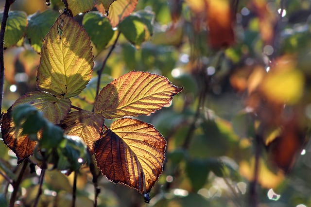 Shawn Sharp tweet media