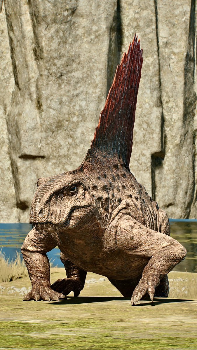 📸－FIRST－📸 tweet media