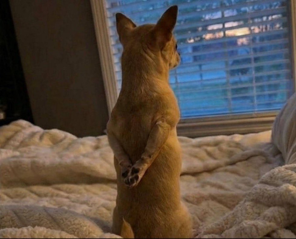 i pity people who think i don’t have money
and the ones who think i do too

both sides just guessing and still getting it wrong