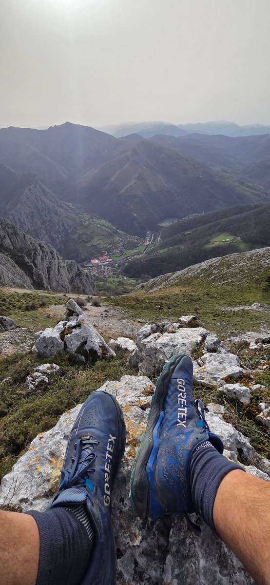 Nacho Azparren tweet media