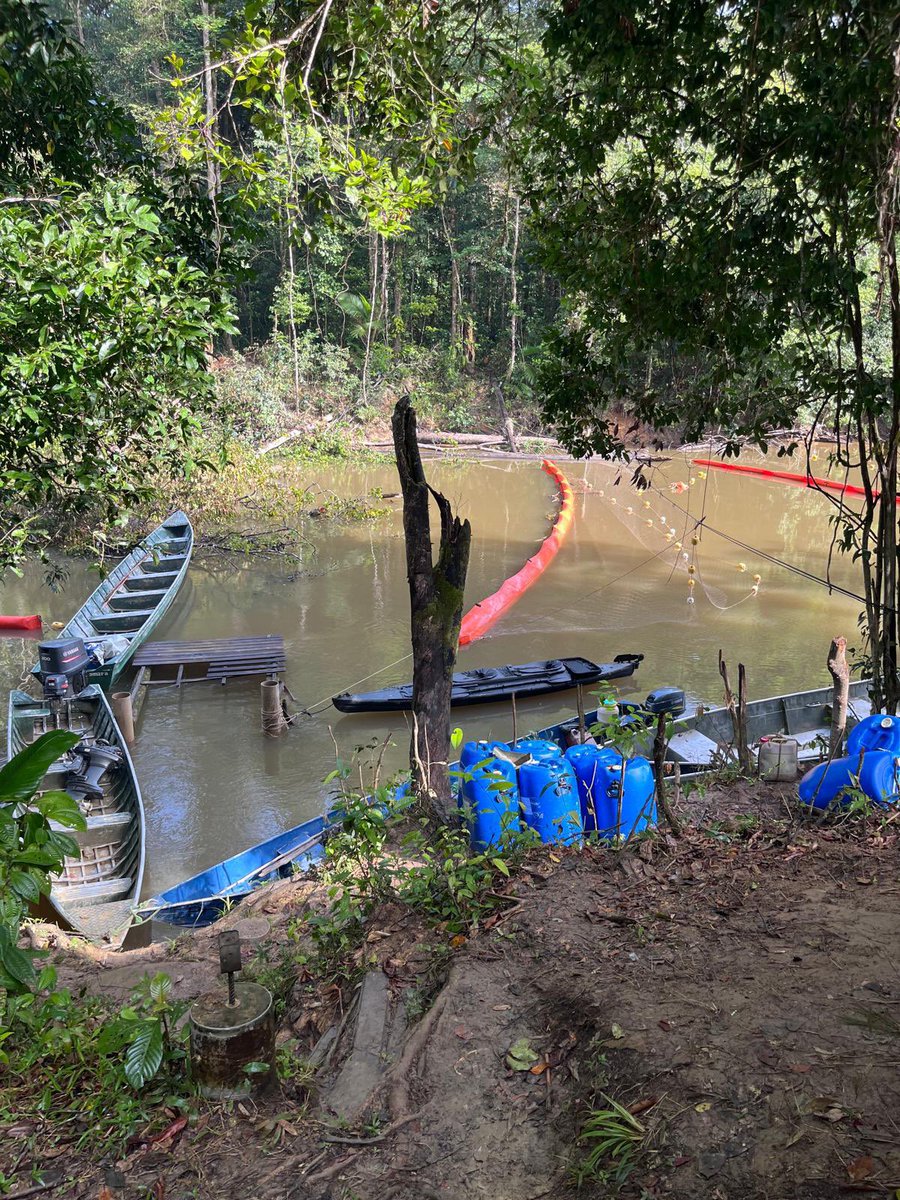 Forces armées en Guyane tweet media