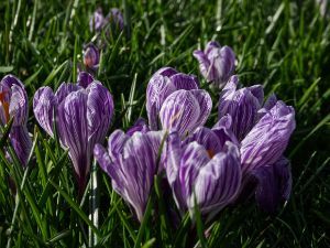 BoatersCF's tweet photo. New Post: Resurrection and the hope of spring https://t.co/c3xTap0vjD https://t.co/MbupHtWzEX