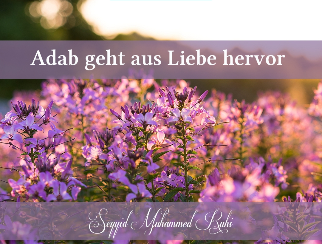 TevhidOcagiDE's tweet photo. Adab aus Liebe

https://t.co/sQmWTUTdt9

Islam Muhammad Ramadan Muslime Fasten Schönen Mittwoch https://t.co/htCxYFAs5U