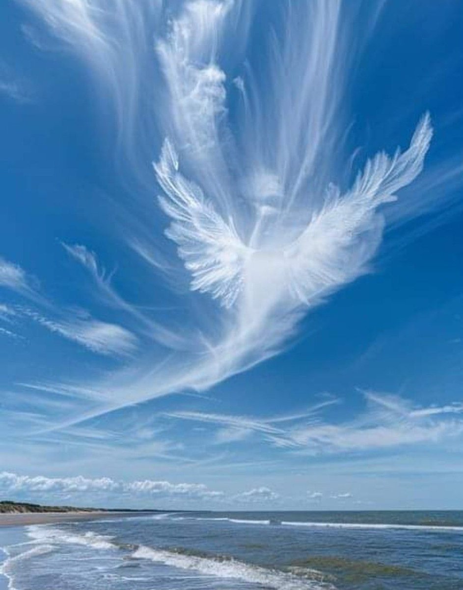 Never lose hope, my heart 
Miracles dwell in the invisible ❤️

Rumi