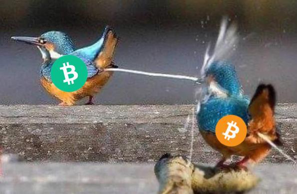 ChaosElephant tweet media