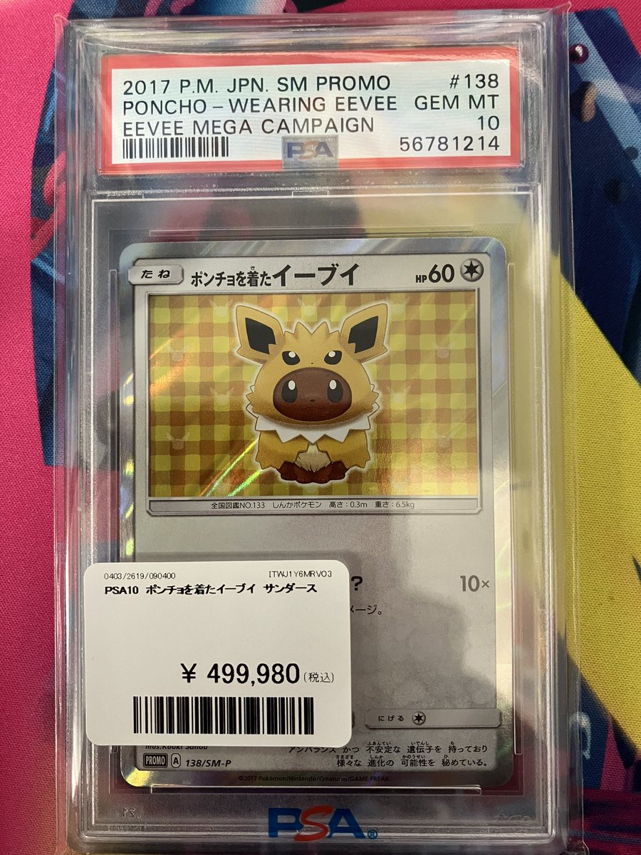 サンダースのポンチョを着たイーブイ 入荷しました‼️ 送料700円から