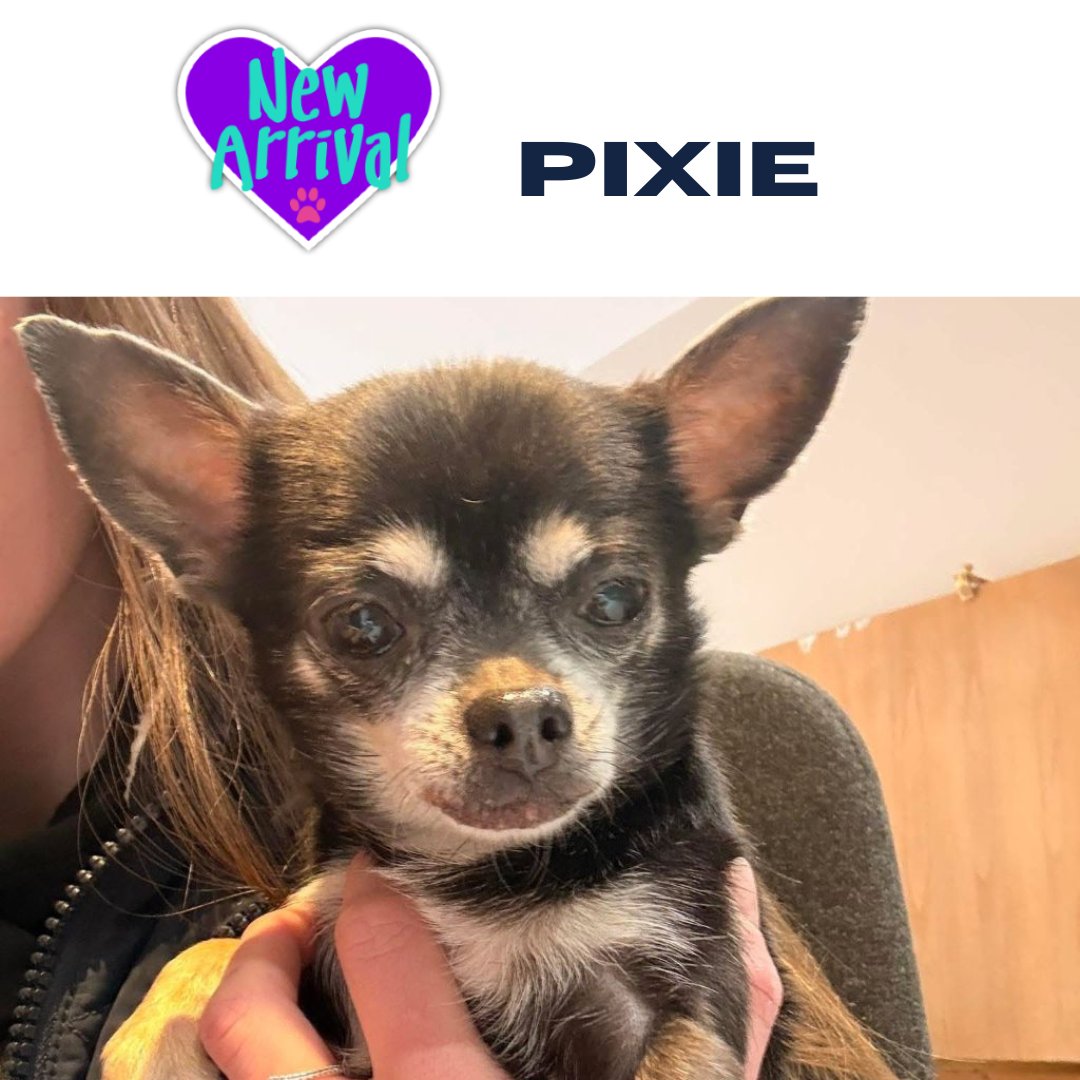 Almost Home tweet media