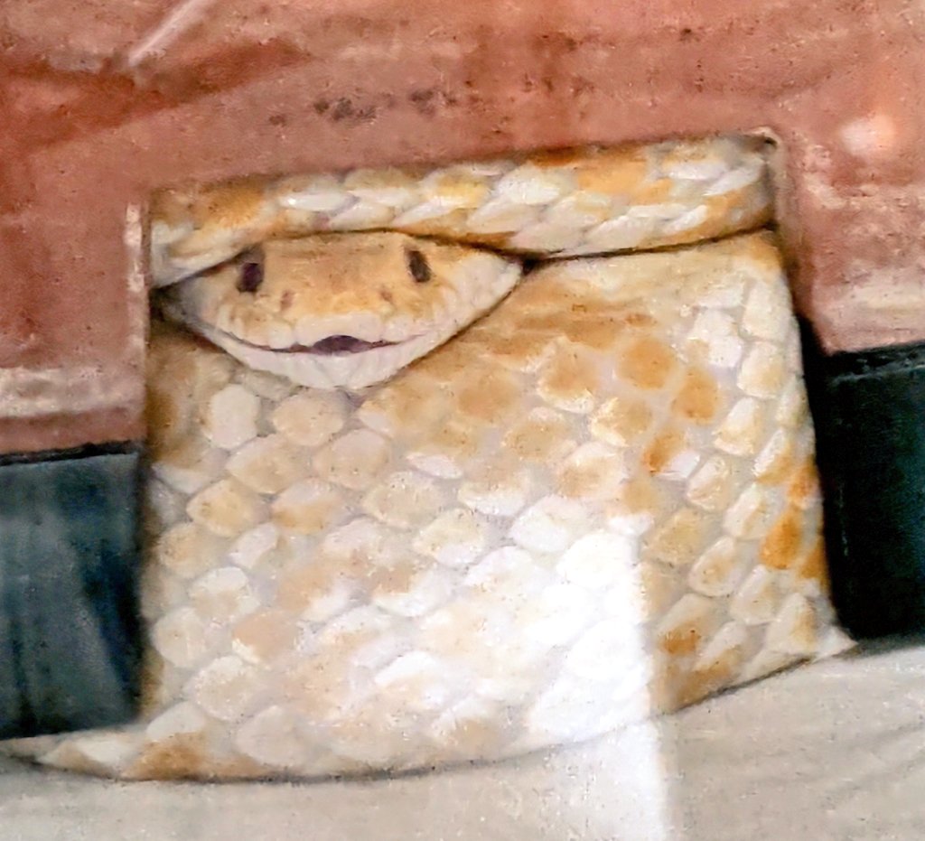 NΛT(なっつ)@へびマルシェの裏方 tweet media