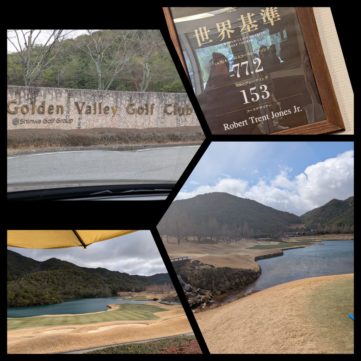 🍺し〜～ば🥃みんとら(⁠~⁠‾⁠▿⁠‾⁠)⁠~ tweet media