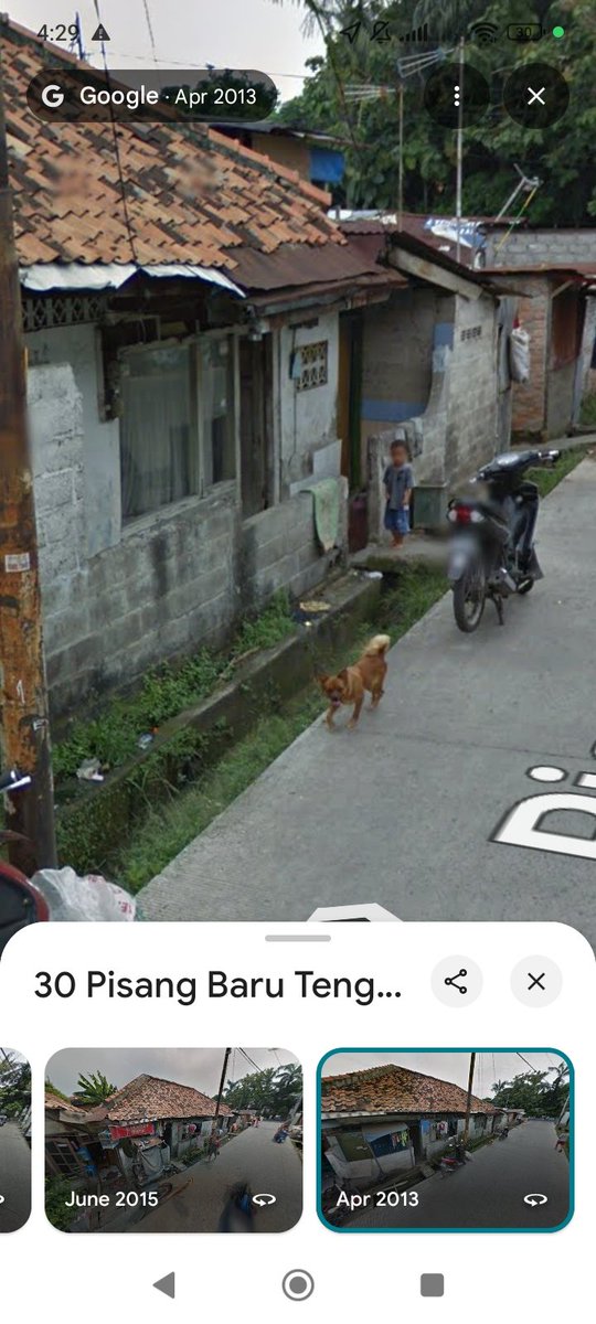 P always asked me to buy cigarettes, BMK, wrapped like black with gold letters, here

But I always don't do much because I was scared of this little dog, Chico