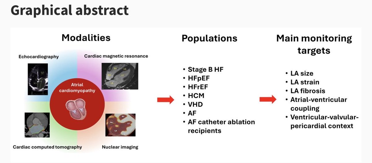 Massimiliano Camilli tweet media