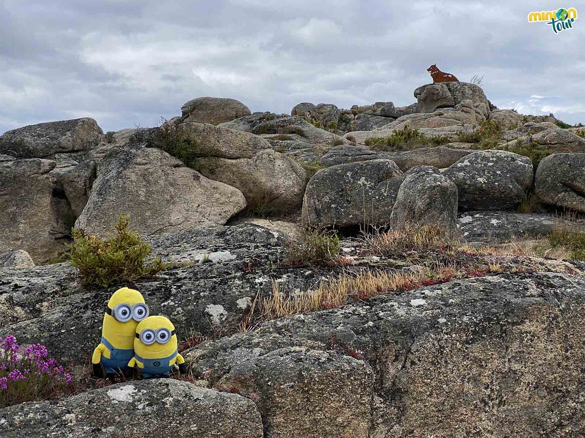 MiniOnTour tweet media