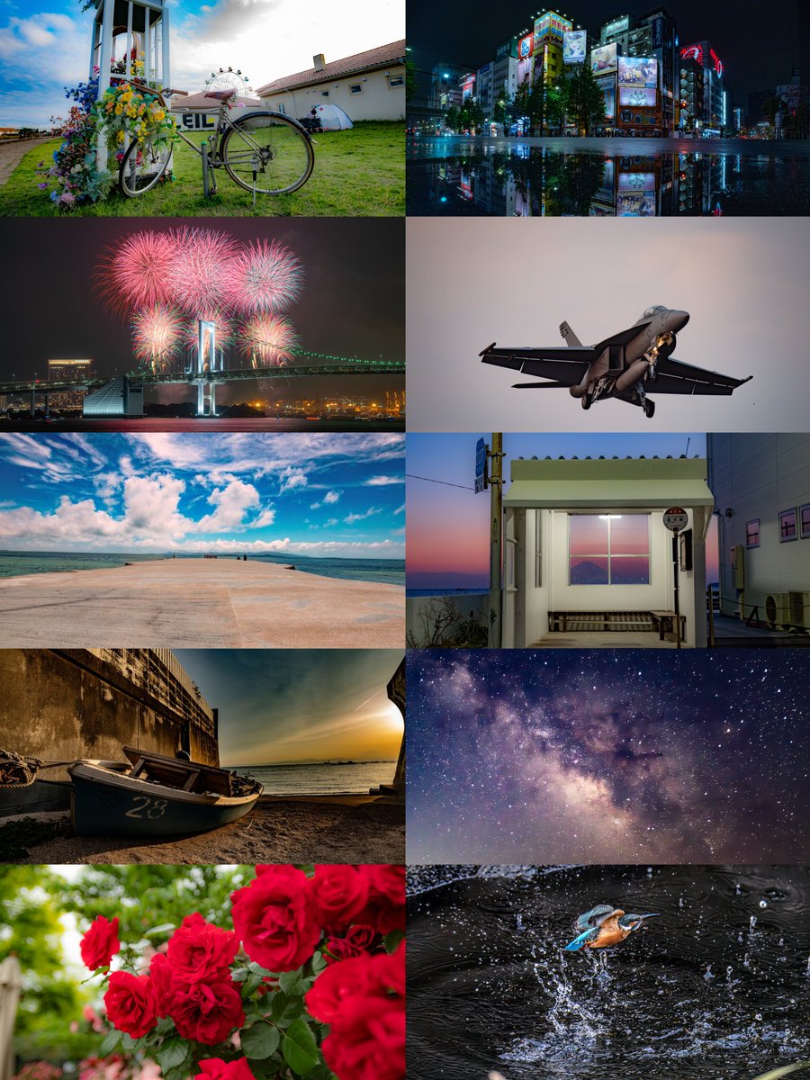 ぺんどり📷️ tweet media