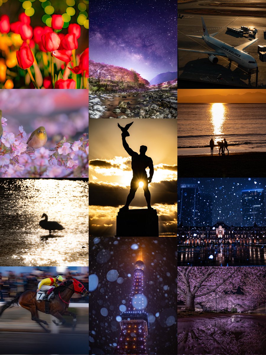 ぺんどり📷️ tweet media