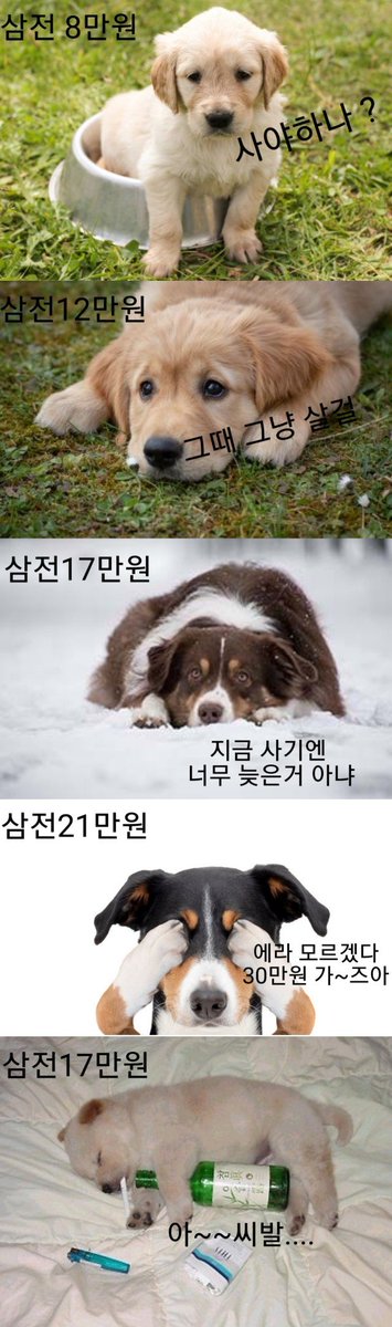 cd_주시아 tweet media