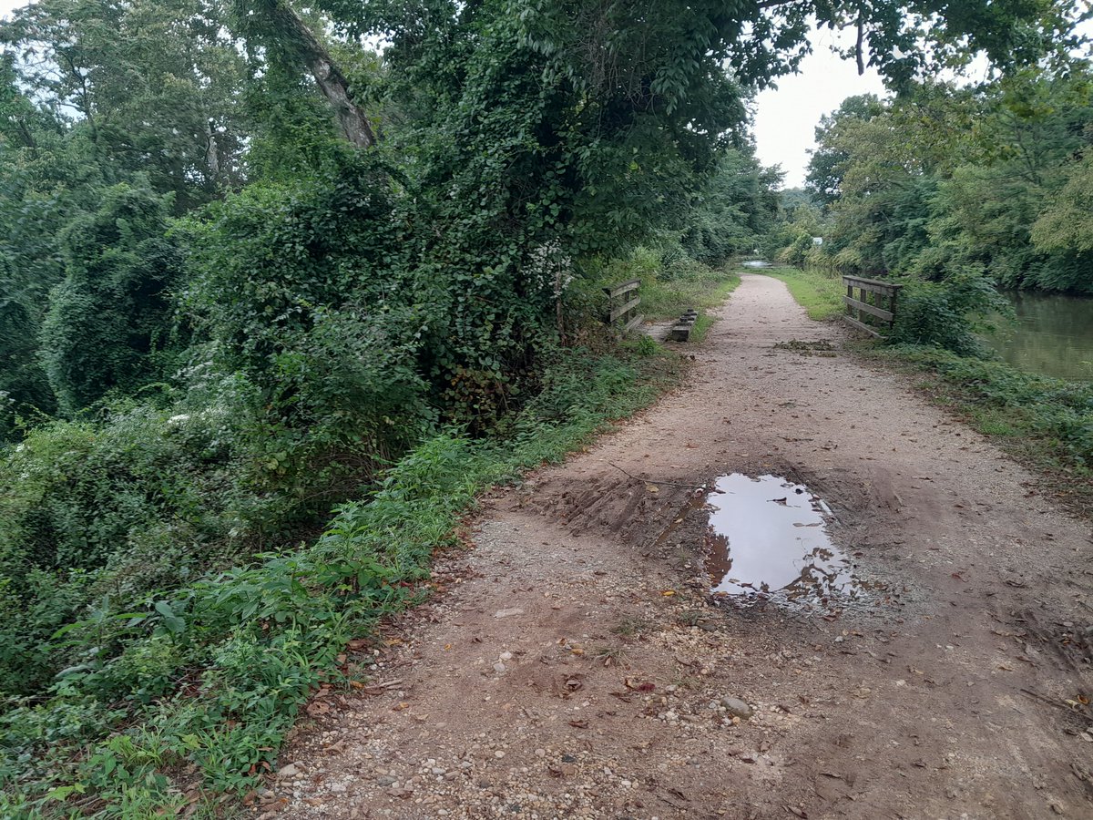 Andy Rigsby tweet media