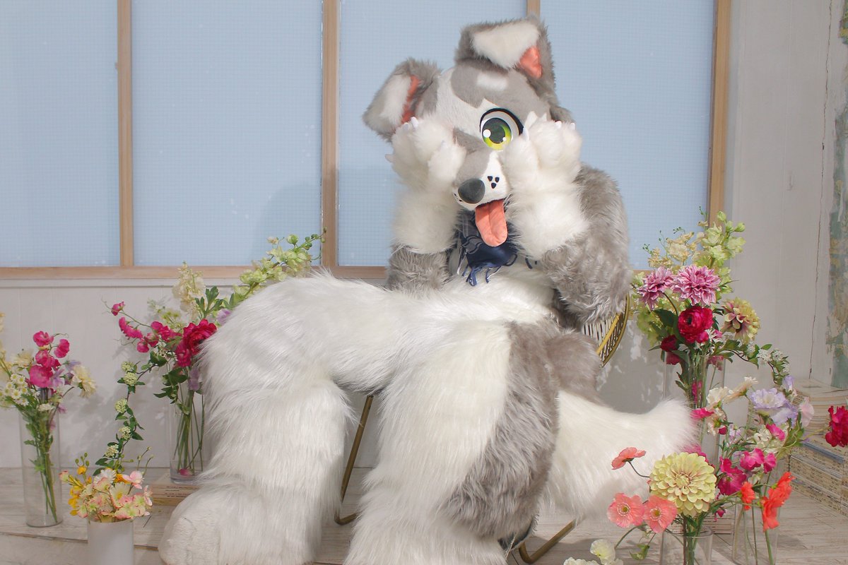 ザック🐶/くぅん tweet media