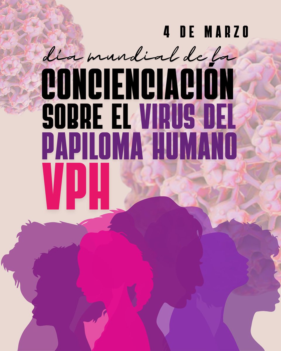 ASOCIACIÓN IN GÉNERO tweet media