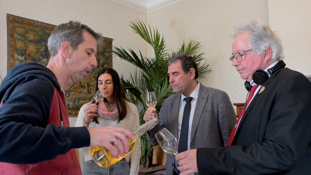 ecom_news's tweet image. 🚜🍇 #Hérault : Comment la Communauté de Communes Vallée de l’#Hérault soutient la filière viticole ? Reportage vidéo à l’occasion du lancement du 40e concours des vins de la Vallée de l’Hérault 🔗 bit.ly/4r0AKZT #vin #oenotourisme