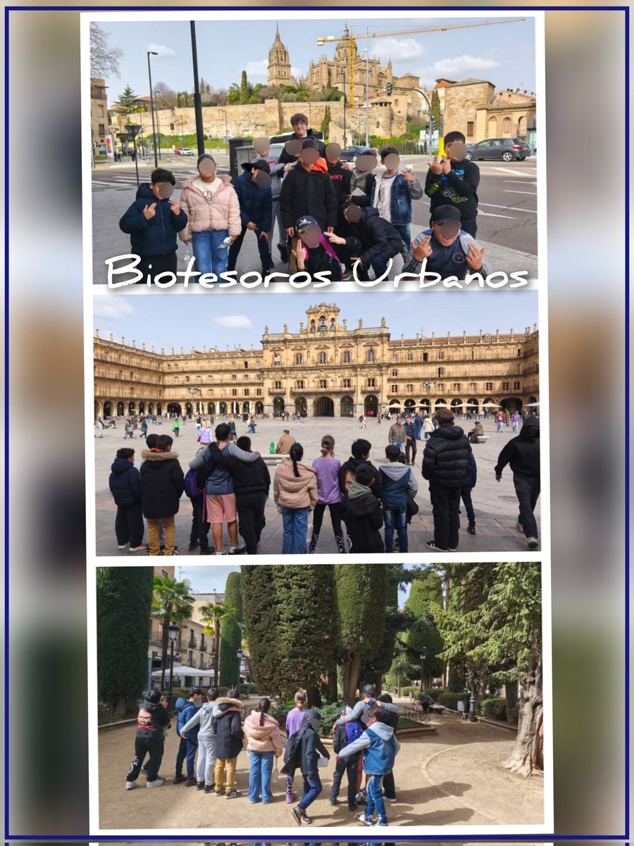 CEIP BEATRIZ GALINDO tweet media