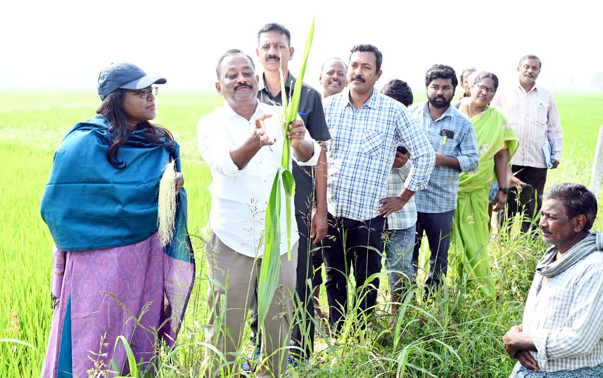 District Collector Eluru tweet media