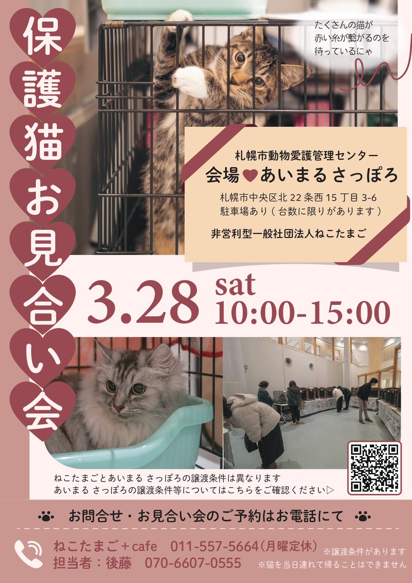 札幌市動物愛護管理センター(あいまる さっぽろ) tweet media