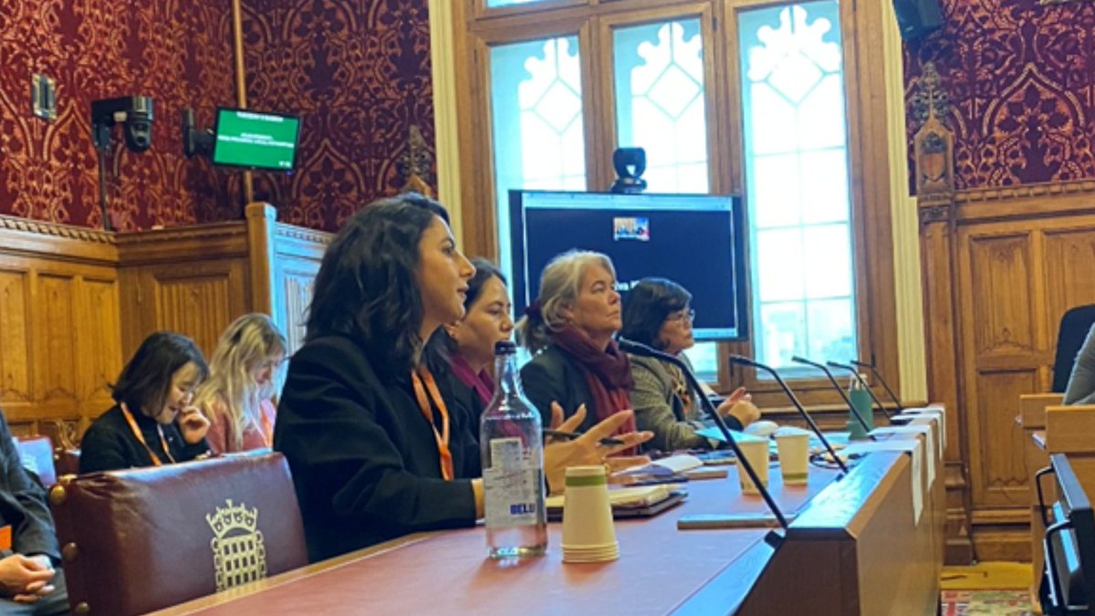 IBA's Human Rights Institute tweet media