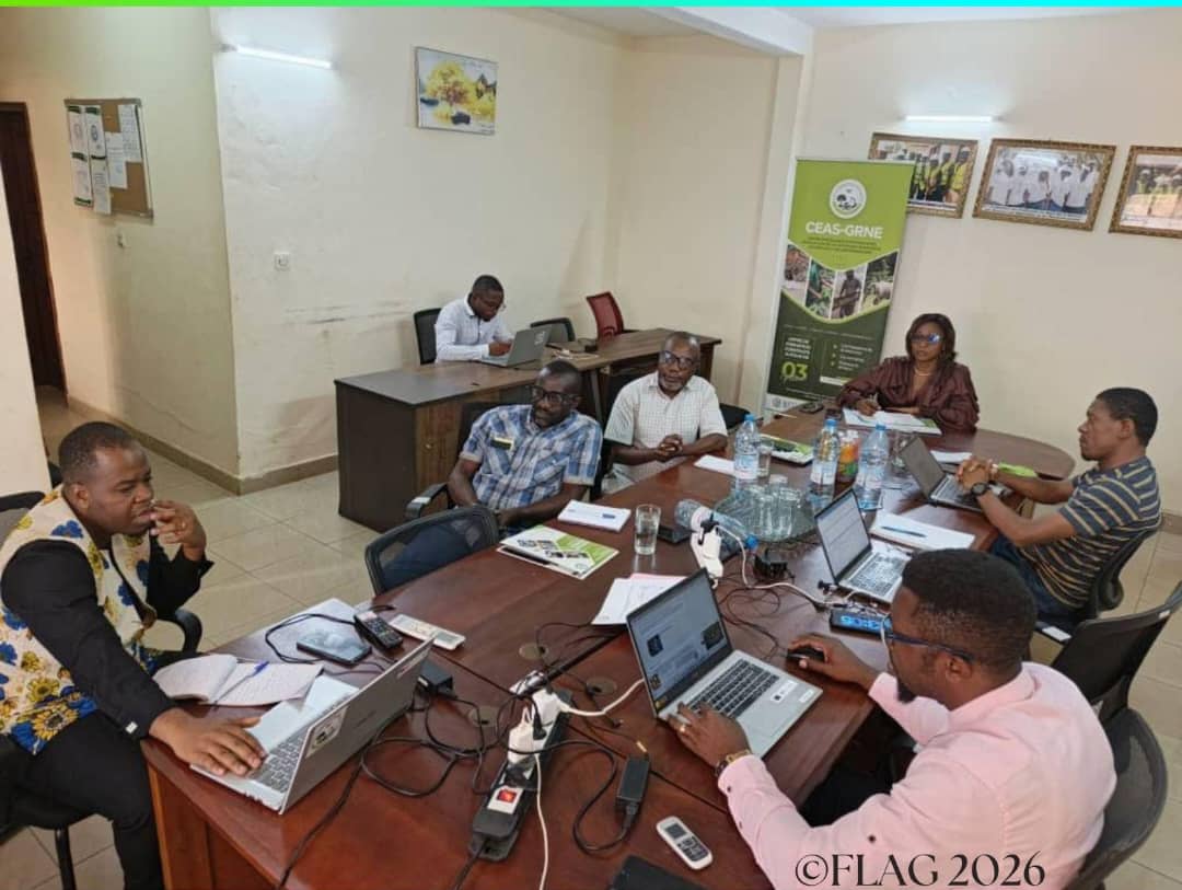 FLAG Cameroon tweet media